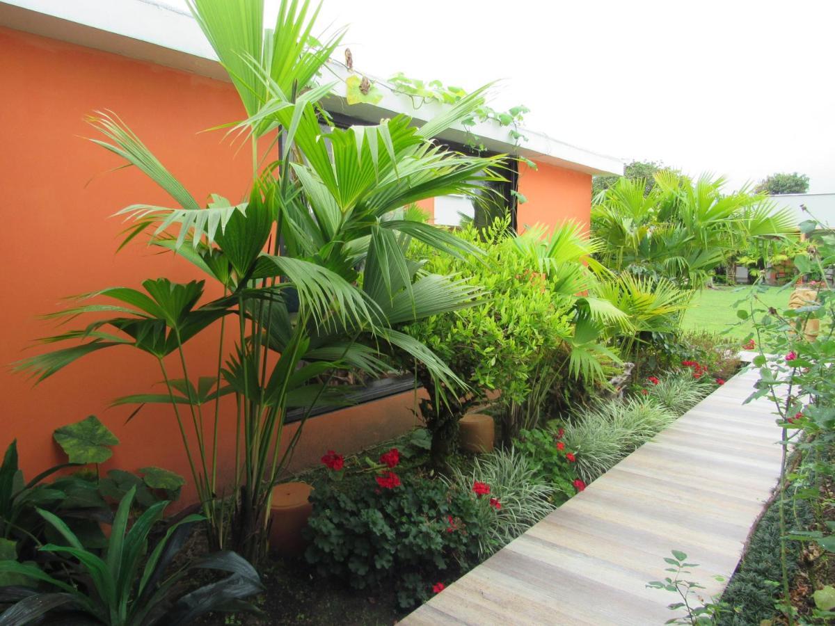 Hotel Yalconia San Agustín Buitenkant foto